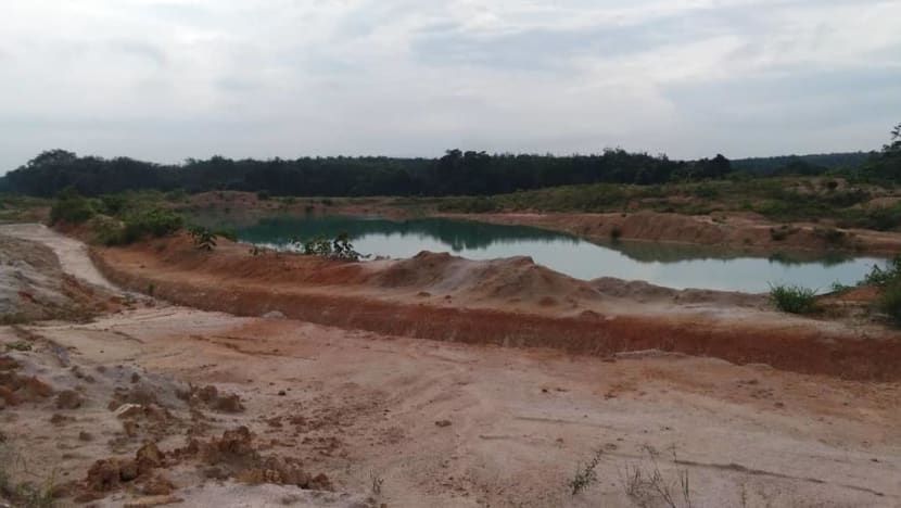 PUB’s waterworks in Johor stops operations after high ammonia levels found in Johor River