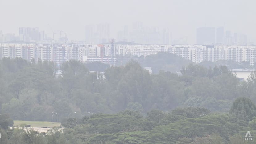 Burning smell across Singapore may be due to 'mixture of gases' from region's peatland, vegetation fires: NEA