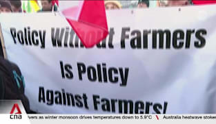 Major EU-MERCOSUR trade deal could be signed despite opposition by European farm lobbies