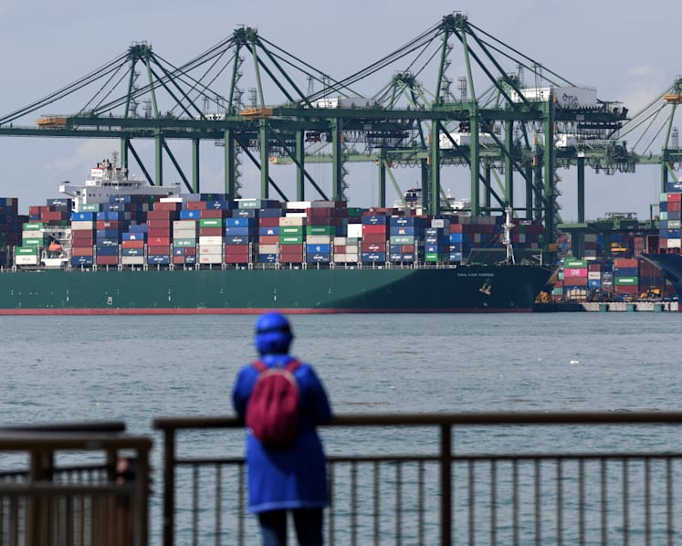 Trailer truck driver sole Covid-19 community case in Singapore; MOH to carry out special testing operations at Pasir Panjang Terminal