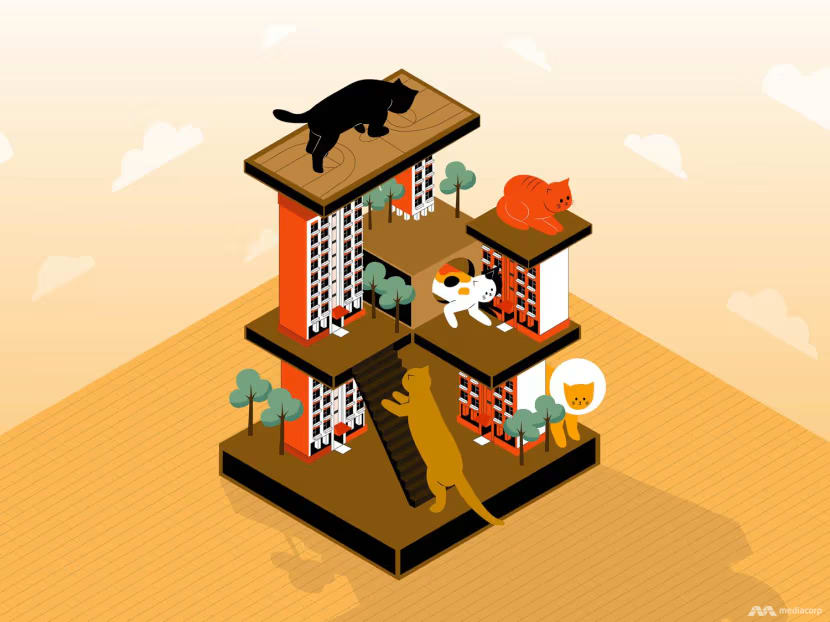 The Big Read: With the ban in HDB flats set to be lifted, can pet cats coexist in harmony with residents? The Big Read: With the ban in HDB flats set to be lifted, can pet cats coexist in harmony with residents?