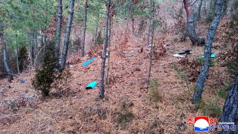 South Korea vows legal action over drone incursion into North