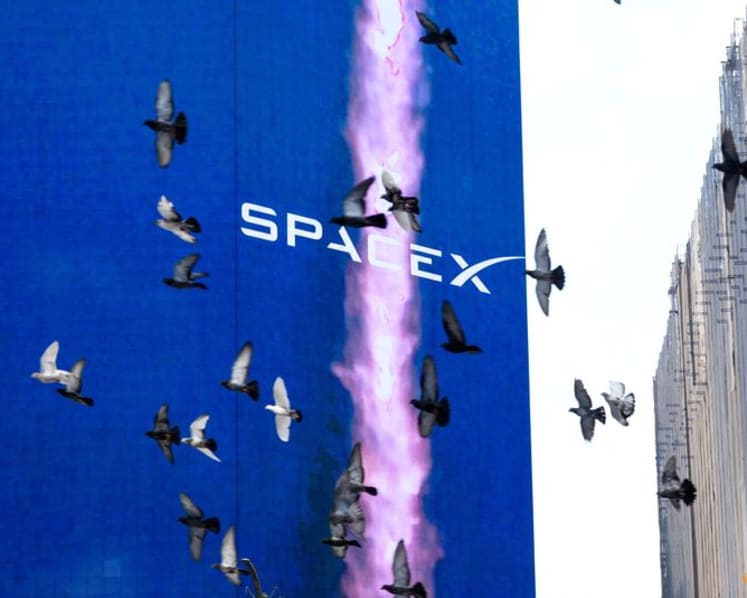 SpaceX rebounds from post-earnings slide as investors eye lockup expiry 