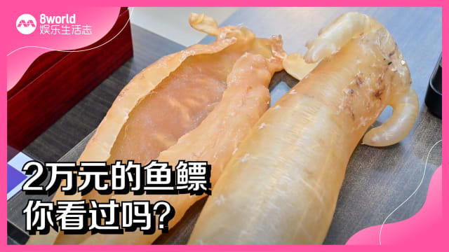 2万元的鱼鳔　你看过吗？