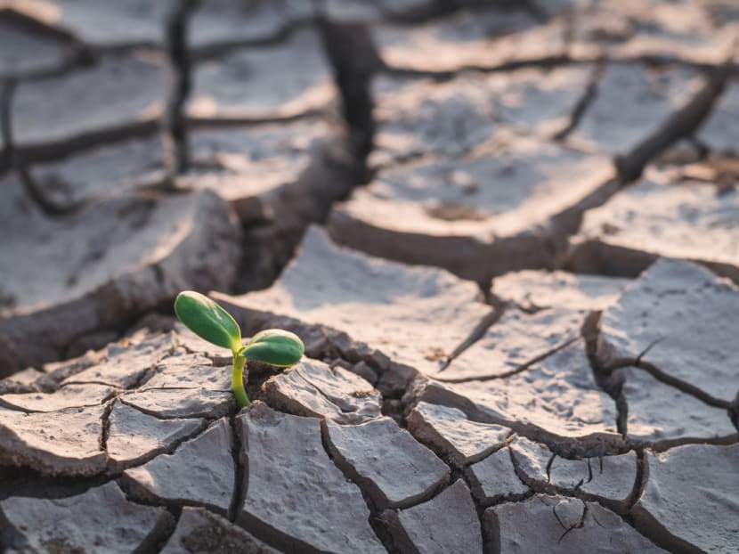 COP27: 7 reasons why Egypt’s climate conference matters in the fight against global warming