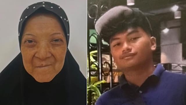 淡滨尼9道一老一少同天失踪 警方发寻人启事