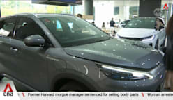 Analysts say COE premiums driven by Chinese EVs, early adoption incentives