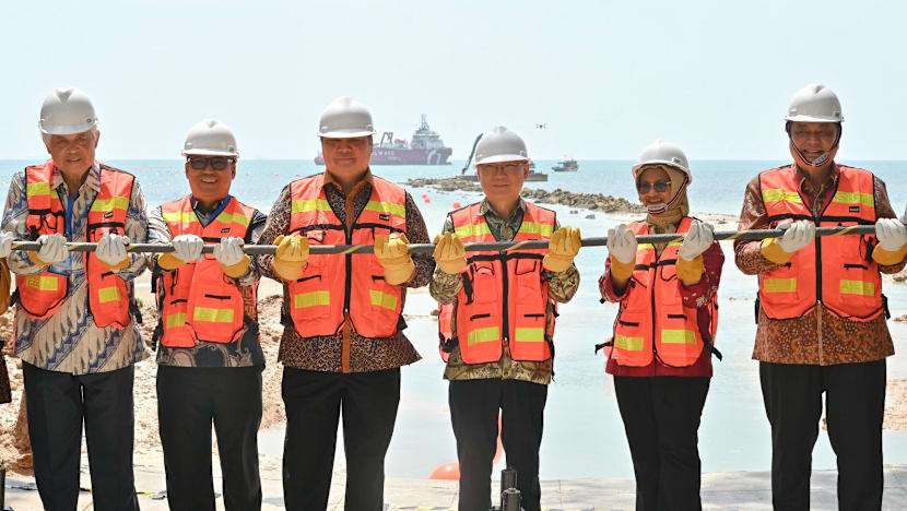 ‘New digital corridor’: Singapore, Indonesia say Batam-Changi undersea cable’s arrival will boost ties