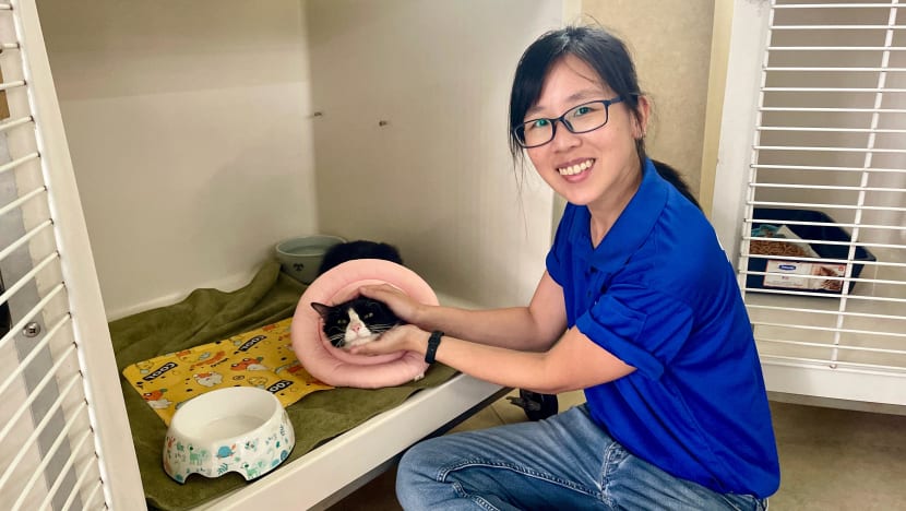 Related article image