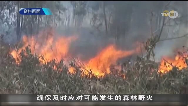 印尼火点倍增 森林大火面积或翻倍