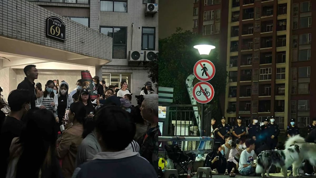 Rare protests erupt in China after dog abuse video