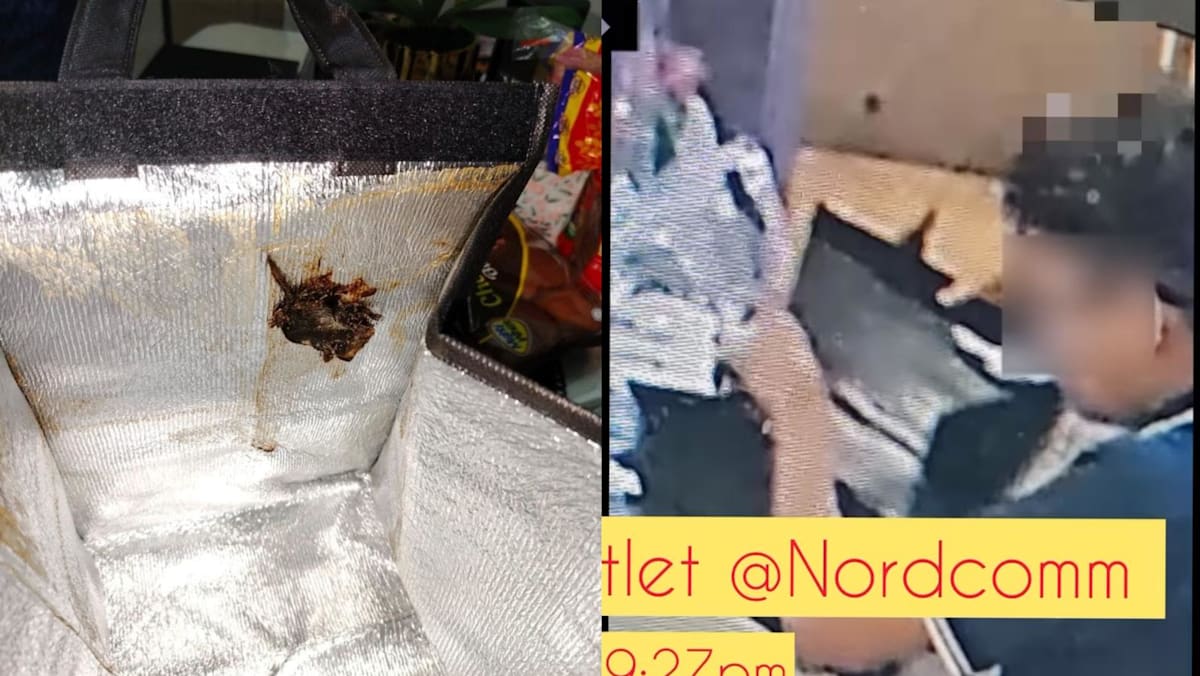 SFA investigating case of squashed rat in food delivery bag from ...