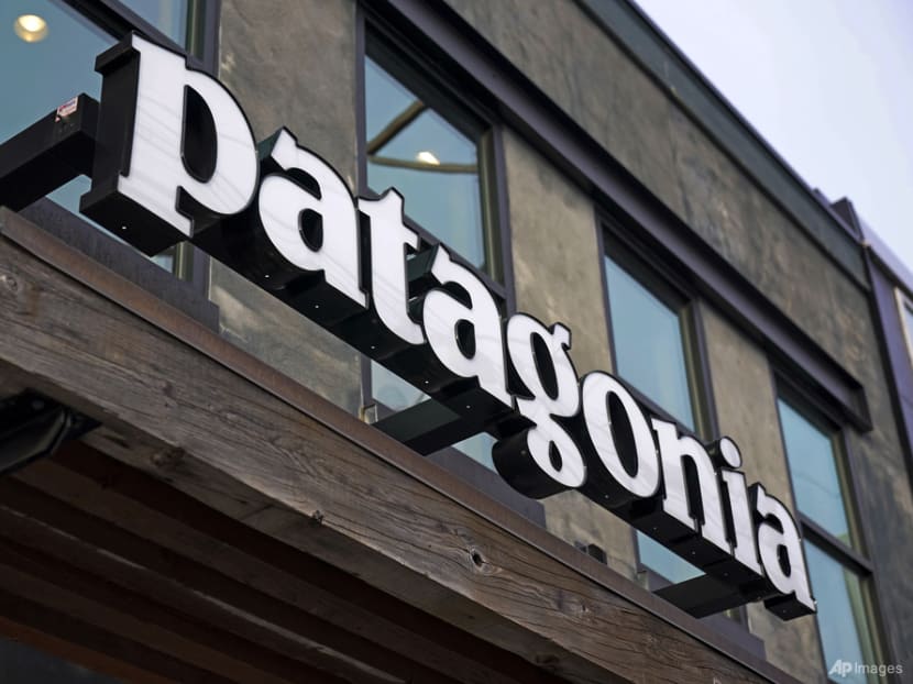 Commentary: Will more follow Patagonia’s bold lead and donate their companies to the Earth?