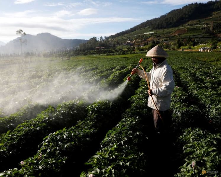 Indonesia to invest $22 billion in agricultural processing, minister says