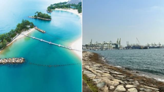为保护海岸 圣淘沙岛和西南海岸将进行特定地点研究