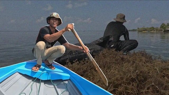 焦点 | 海藻受损收入锐减 大学生不愿弟妹接班