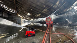Related article image