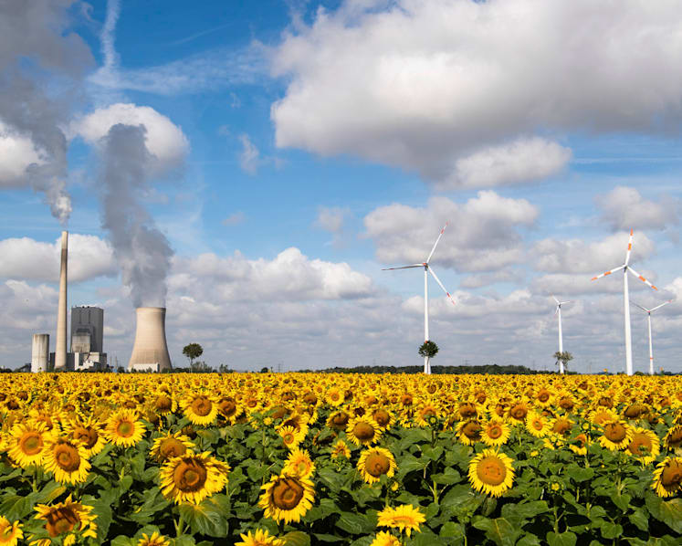 Berlin hosts envoys for heart-to-heart talks on climate