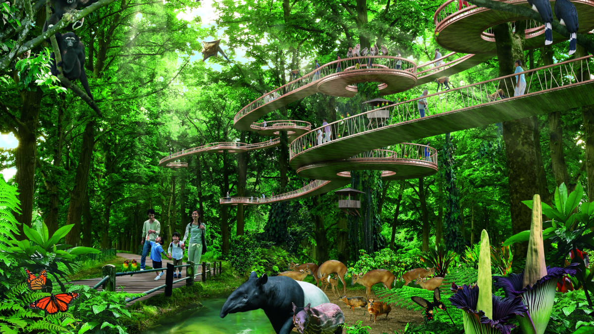 Así luce el zoolígico de Mandai. Foto: CNN Así luce el zoolígico de Mandai. Foto: CNN