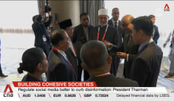 Cohesive societies: President Tharman calls for effective education and stronger social interaction 