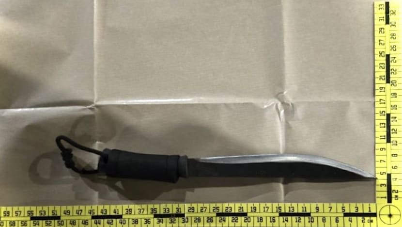 Four arrested in Singapore over alleged abduction and parang threat