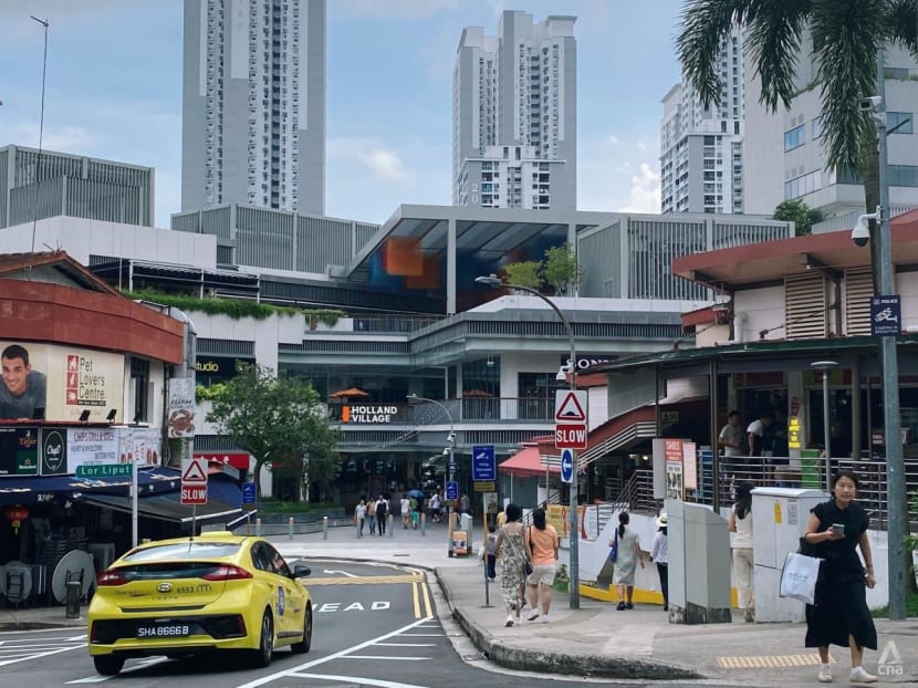 The Holland Village we love is fading. But there are lessons we can learn from its constant change The Holland Village we love is fading. But there are lessons we can learn from its constant change