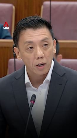 Let SIA decide on Air India investment: Jeffrey Siow
