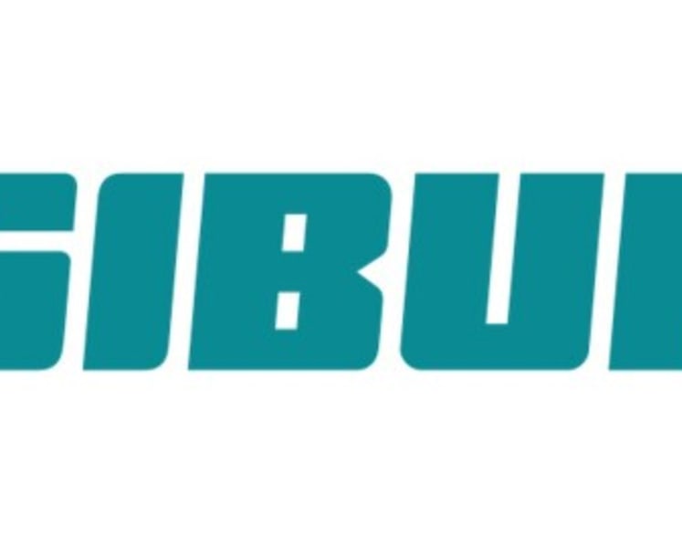 SIBUR Develops Own Components for Polymer Production for Automotive Industry
