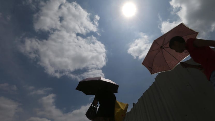 With hotter-than-usual months, 2019 tied with 2016 to be warmest year by far
