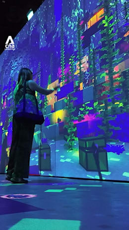 Minecraft Experience at Mandai Wildlife Reserve