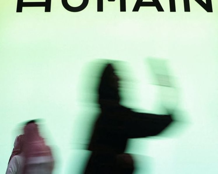 Saudi AI firms Humain, DataVolt partner for data center on kingdom's Red Sea coast