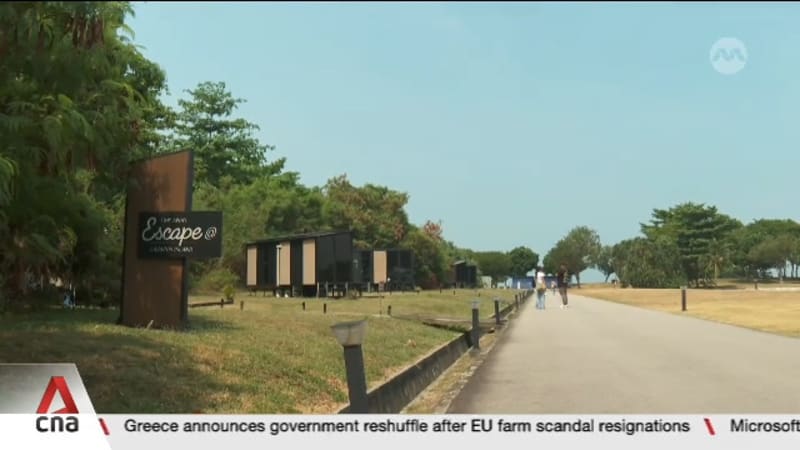 Singapore should focus on premium, design-led experiences for eco-tourism: Expert 