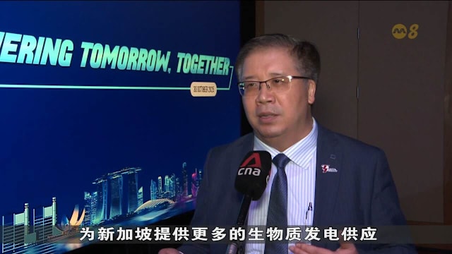 大士能源计划改造裕廊岛燃煤发电厂  将全面使用可再生生物质作为燃料