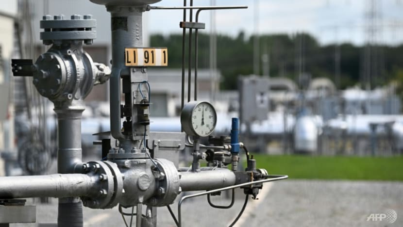 Commentary: Vladimir Putin has forced EU into long-overdue energy union Commentary: Vladimir Putin has forced EU into long-overdue energy union