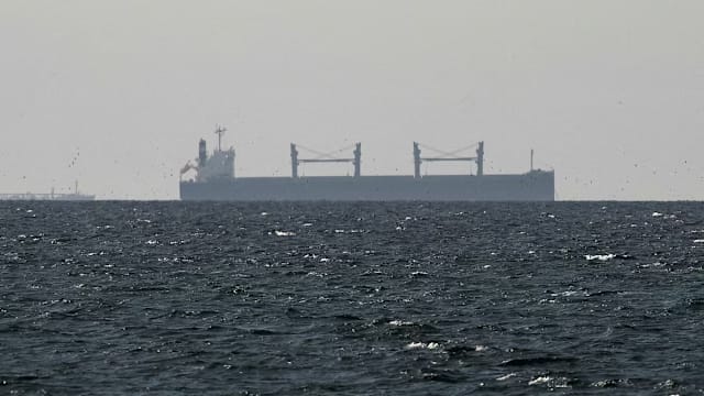 中国证实三艘中国船只顺利通过霍尔木兹海峡