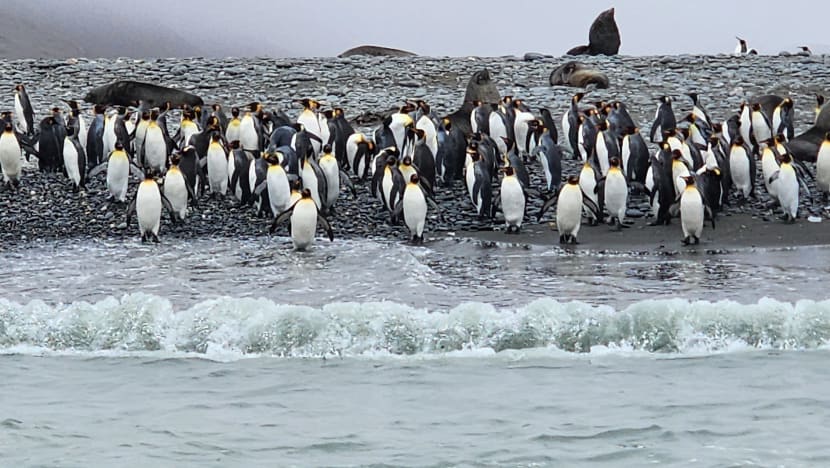 Related article image