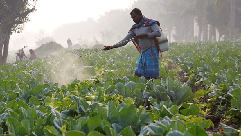 India to keep some farm protections in US trade deal, will buy US aircraft, arms, energy