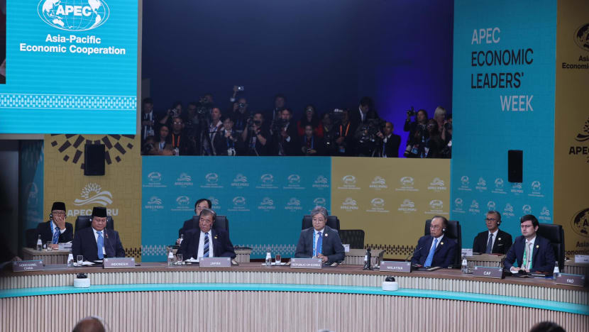 PM Anwar gesa APEC iktiraf sekutu bukan tradisional PM Anwar gesa APEC iktiraf sekutu bukan tradisional