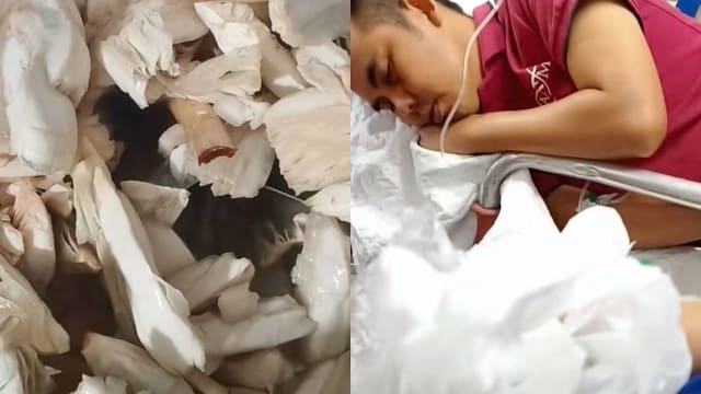 屋旁采菇食用 马国一家三口误吃毒菇急送院