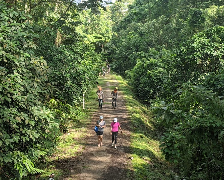 Improved 4km Rail Corridor trail between Hillview and Bukit Timah reopens to public