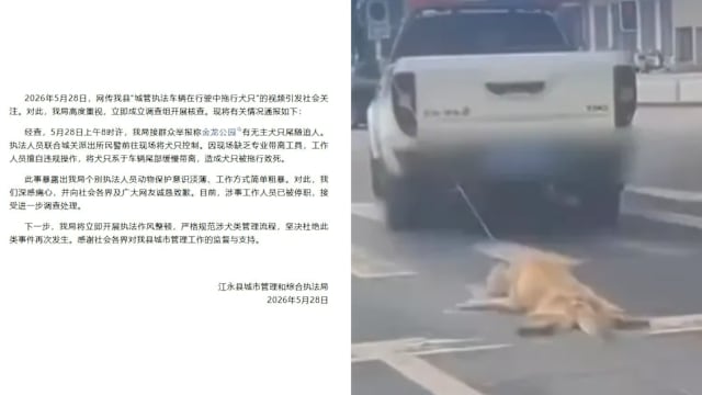 湖南执法车拖行狗只致死 涉事人员已被停职