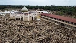 Related article image