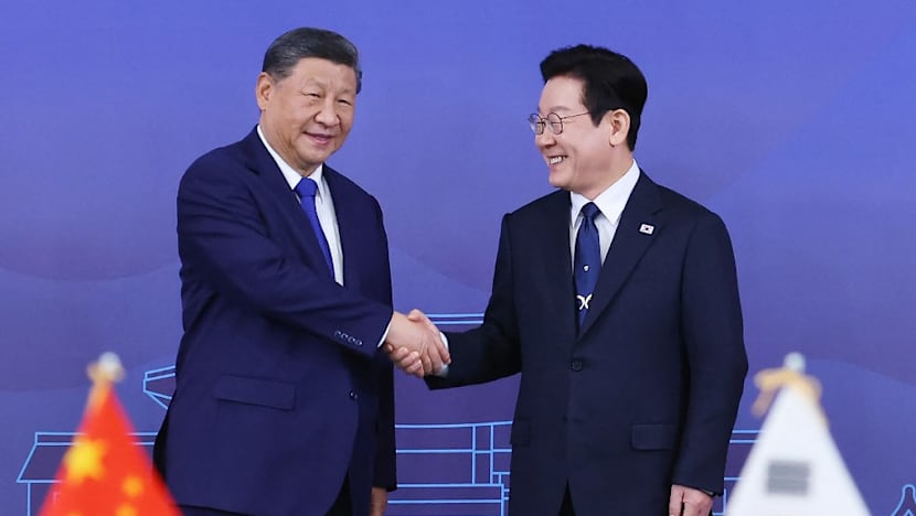 South Korea hosts Xi Jinping as Chinese leader rekindles fraught ties