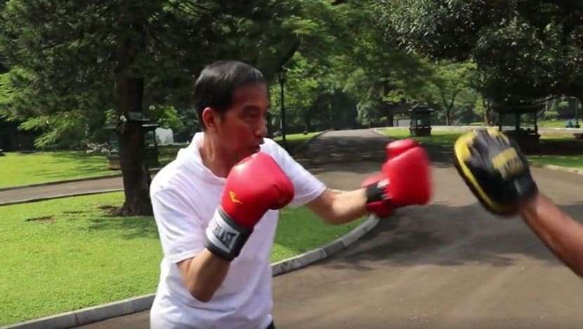 Presiden Joko Widodo tangkas bertinju di 'gelanggang' Istana Presiden Joko Widodo tangkas bertinju di 'gelanggang' Istana
