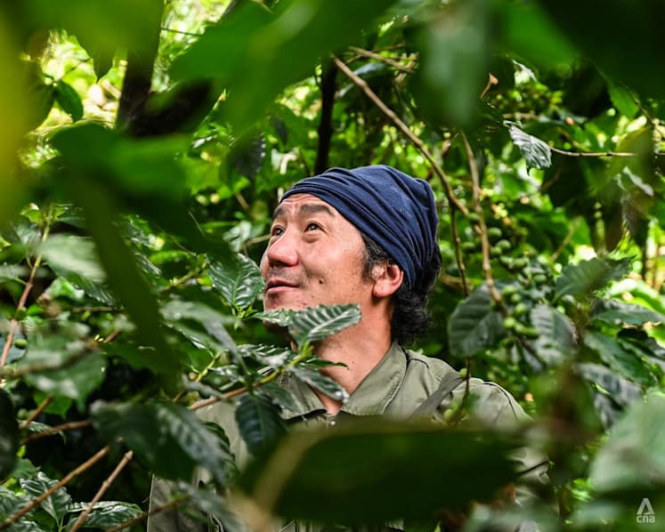 Hot demand, shrinking harvests: Thai coffee faces boom and doom paradox