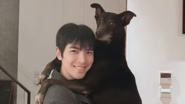 演出前接获爱犬离世噩耗，萧敬腾、Summer泪崩！