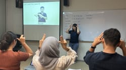 Related article image