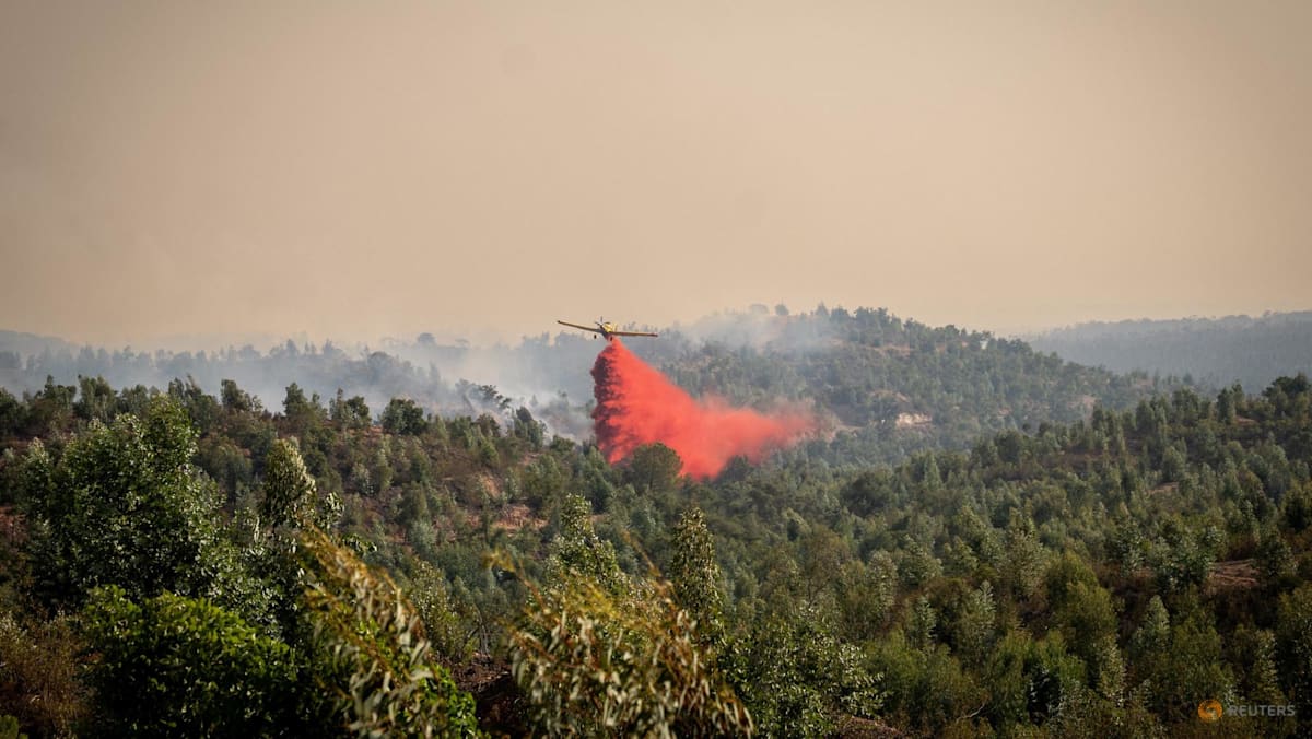 A helicopter flying over a forest emitting a large plume of smoke.