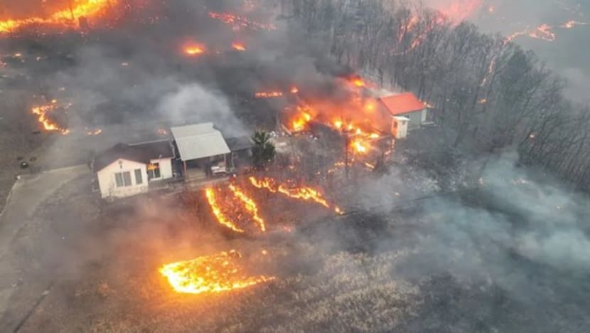 18 tewas dalam salah satu kebakaran hutan terburuk di Korea Selatan