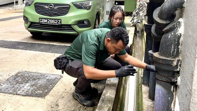 汉坦病毒新闻引关注 灭鼠需求增三四成